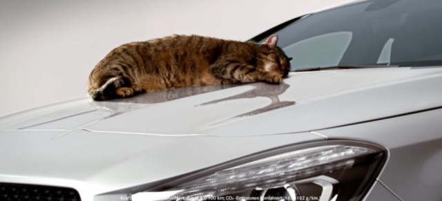 Video: Warum die Katze auf dem Mercedes CLA nicht schlafen kann: Witziger  TV-Spot über den Mercedes-Benz CLA  