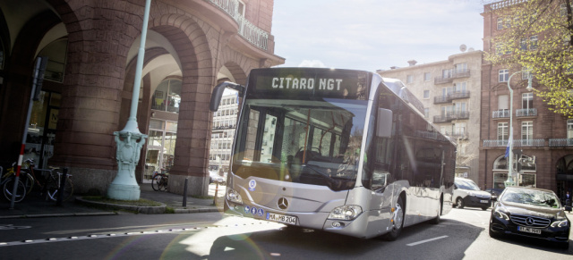 Daimler Buses: Daimler Buses auf der FIAA 2017 in Madrid 