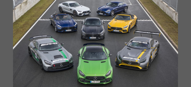 Mercedes-AMG GT: We are Family!: Sechs Richtige: Ein Überblick über die Mercedes-AMG-GT-Familie 