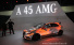 Mercedes-AMG auf dem 83. Internationalen Automobilsalon in Genf: Mit seinem Sportwagenaufgebot sorgt Mercedes-Benz in Genf für die herausragenden Sternstunden 