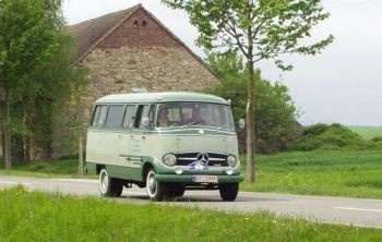 Mercedes Van Treffen