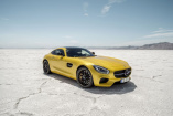 Mercedes AMG GT auf der Mercedes-FanWorld : Premiere auf der Essen Motor Show