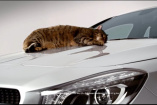 Video: Warum die Katze auf dem Mercedes CLA nicht schlafen kann: Witziger  TV-Spot über den Mercedes-Benz CLA  