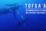 Waltag! Mercedes-Benz unterstützt Meeresbiologen  : Video: „Tofua’a“ - auf Augenhöhe mit Buckelwalen