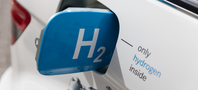 Studie: Positive Klimabilanz von Batterietechnik ist falsch berechnet: Aktuelle Umfrage: Wasserstoffauto findet Zuspruch bei 63 Prozent
