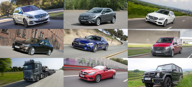 Die besten Fahrberichte 2014: Wir hatten sie alle: Vom AMG bis zur neuen V-Klasse 