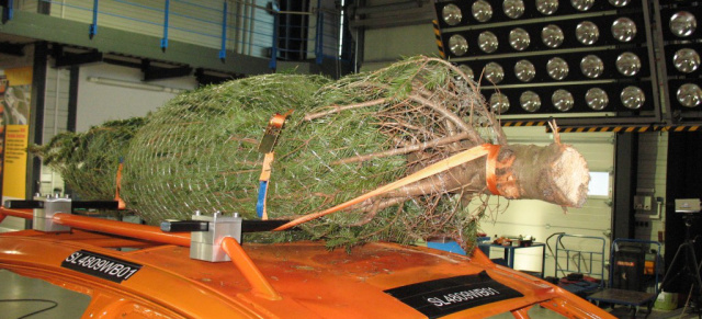 Christbaum und Auto - Tipps zum richtigen Transport: Der Weihnachtsbaum als tödliches Geschoss // Bei unzureichender Sicherung drohen Punkte und Bußgeld