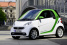 Götterdämmerung?: Ersatzakkus bei älteren Elektroautos - klappt das?