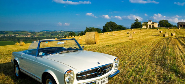 Mercedes-Benz Classic Kalender: Shooting Stars!  Fotos von Fans für Fans: Schicker Wandkalender für Mercedes-Fans