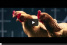 Video: Warum lässt Mercedes die Hühner tanzen?: Magic Body Control im Hühnerstall