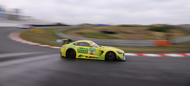 Die MANN-FILTER Mamba vor dem GT Masters-Rennen in Zandvoort: Schlangen-Alarm im Urlaubsparadies