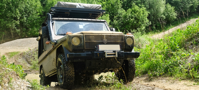 Der Wolf ist los: So war das Offroad-Abenteuer für Wolf- und Puch Besitzer