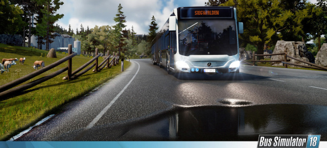 Bock auf Bus:  "Bus Simulator 18": Bus und Linie treu? Dann werdet Ihr auf Bus Simulator 18 abfahren 