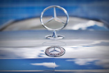 Gerücht: Wird es demnächst einen Mercedes “Allroad“ geben?: Neue Spekulationen um einen Mercedes-Benz T-Modell mit Offroad-Eigenschaften