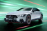 Sondermodell: Mercedes-AMG GT 63 S E PERFORMANCE  „F1 Edition": Power-Performance-Präsent zum 55. AMG Geburtstag