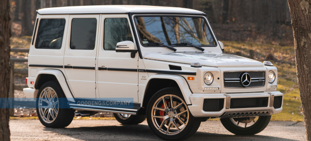 Sterne unterm Hammer: Amelia Island Auction: Versteigerung: Mercedes-AMG G65 mit Bi-Turbo und V12-Power