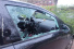 Vandalismus-Opfer Pkw: Krawallfolgen am Auto: Wer zahlt den Schaden?