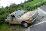 Es grünt so grün: Mercedes 300D (W123): 1979er Benz wandelt sich zum Biotop für Flora und Fauna