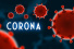 Hintergrund: Wege aus der Corona-Krise: Fehler im System