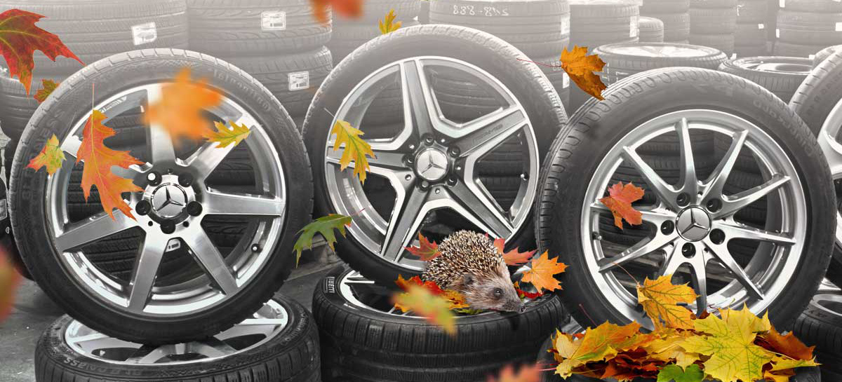 22 09 26 09 Raderwoche Beim Mbgtc Grosser Raderabverkauf Zu Sparpreisen Im Mercedes Benz Gebrauchtteile Center News Mercedes Fans Das Magazin Fur Mercedes Benz Enthusiasten