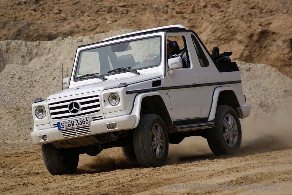 Lala Berlin Dresses Modesens